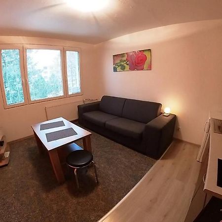 Garsonka Hlinik Apartment เชบอนย์ ภายนอก รูปภาพ