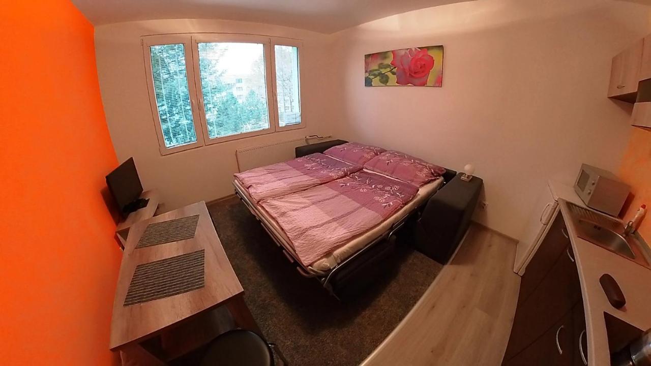 Garsonka Hlinik Apartment เชบอนย์ ภายนอก รูปภาพ