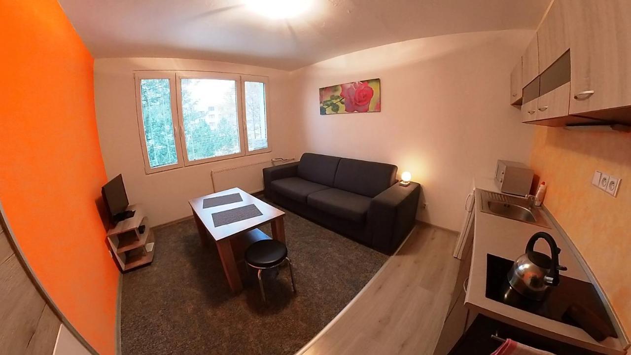 Garsonka Hlinik Apartment เชบอนย์ ภายนอก รูปภาพ