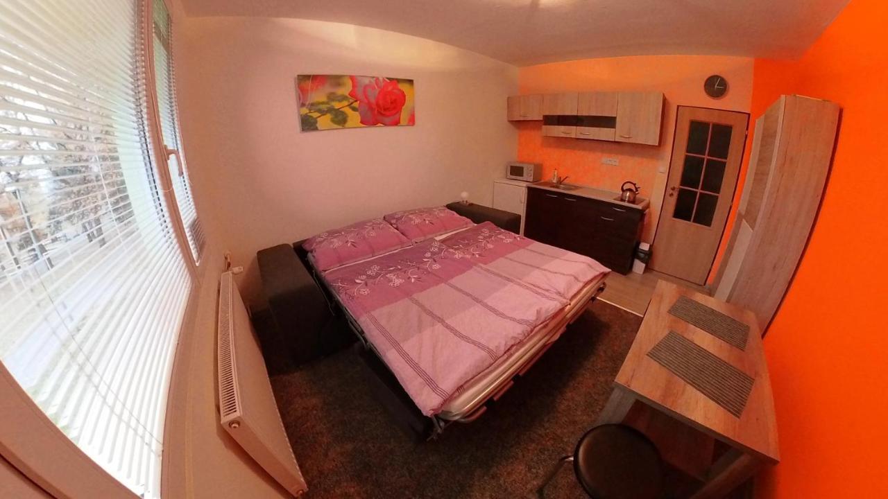 Garsonka Hlinik Apartment เชบอนย์ ภายนอก รูปภาพ
