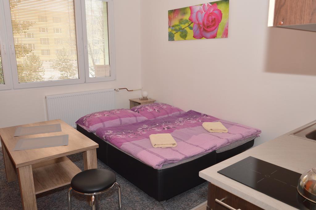 Garsonka Hlinik Apartment เชบอนย์ ภายนอก รูปภาพ