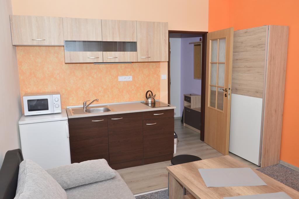 Garsonka Hlinik Apartment เชบอนย์ ภายนอก รูปภาพ